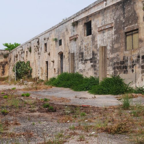 Masseria di 1800 mq coperti, vista esterna dove la natura piano piano si sta riprendendo lo spazio e piante di capperi iniziano a comparire lungo i muri.