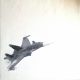 F35? Cristiano Pallara - la solitudine della guerra viene espressa dal grande senso di vuoto rappresentato dalla tela nuda in cui vola un aereo militare, ignaro della sua pericolosità